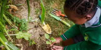 EduPlant announces top 32 finalist schools ahead of 2025 national awards