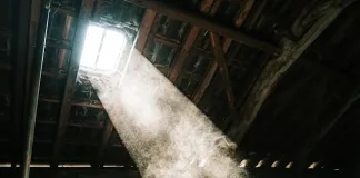 Local Attic Cleaning: Essential for a Healthy Home