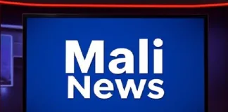 Former Mali Prime Minister Sentenced to Prison for Social Media Post