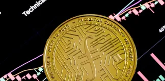 Scholz Gruppe Introduces Profit-Linked Referral Program as Market Participation Grows
