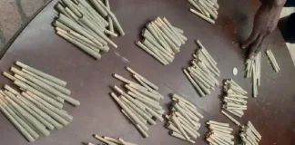 Bloemfontein Police Arrest 33-Year-Old, Seized Large Quantity of Drugs Bloemfontein Police Arrest 33-Year-Old, Seized Large Quantity of Drugs