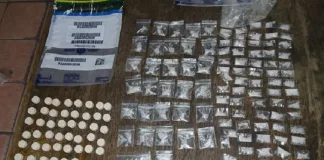 Two Arrested, Drugs Seized in Cape Flats Operations