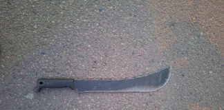 Three Foreign Nationals Arrested in Limpopo for Series of Thefts