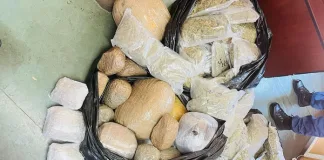 Hawks Seize R900,000 in Drugs at Oshoek Border, Two Arrested Hawks Seize R900,000 in Drugs at Oshoek Border, Two Arrested