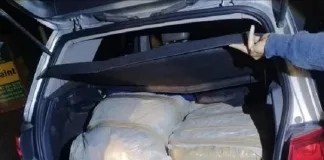 Police Seize R470,000 in Dagga Following N2 Chase in Knysna Police Seize R470,000 in Dagga Following N2 Chase in Knysna