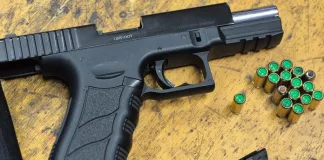 Imitation Firearm and R100,000 in Abalone Seized in N2 Traffic Stop