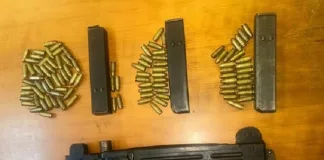 Firearm and Ammunition Seized in Ottery, One Arrested