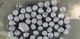 Limpopo Police Intensify Anti-Drug Efforts with Dual Dagga Busts Limpopo Police Intensify Anti-Drug Efforts with Dual Dagga Busts