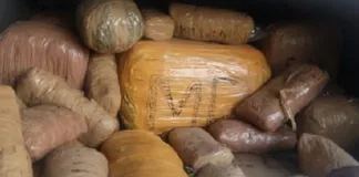 Police Net R500,000 Dagga Haul and Arrest Two in Ermelo Intelligence Operation Police Net R500,000 Dagga Haul and Arrest Two in Ermelo Intelligence Operation