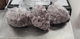 Police Nab Two in Oudtshoorn Drug Bust, Vehicle Seized Police Nab Two in Oudtshoorn Drug Bust, Vehicle Seized