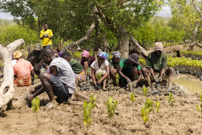 SUSTAINABILITY: FROM ROOTS TO ECONOMIC RENEWAL SUSTAINABILITY: FROM ROOTS TO ECONOMIC RENEWAL