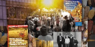 Huge Constitutional Court victory for the African Centre for Biodiversity and GMO decision-making