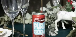 Festive Flavours, Mindful Choices: PURA Soda Brings Modern Moderation to the Festive Table