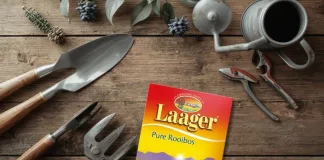 6 Surprising Ways to Save Money and Reduce Waste with Rooibos