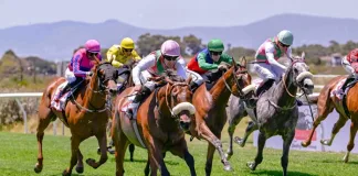 The World Sports Betting Cape Town Met Returns, 31 January 2026 The World Sports Betting Cape Town Met Returns, 31 January 2026