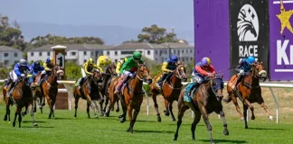 Summer Festival of Racing returns for a season of style, sport and spectacle Summer Festival of Racing returns for a season of style, sport and spectacle