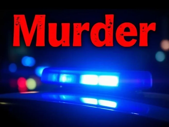 SDHB8_qB Two Teenagers Charged with Murder After Burglary Turns Deadly