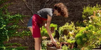 HOW TO SET YOUR GARDEN ON AUTOPILOT DURING YOUR DECEMBER GETAWAY HOW TO SET YOUR GARDEN ON AUTOPILOT DURING YOUR DECEMBER GETAWAY