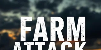 13 Arrested in Heilbron Following Fatal Farm Attack, Sexual Assault
