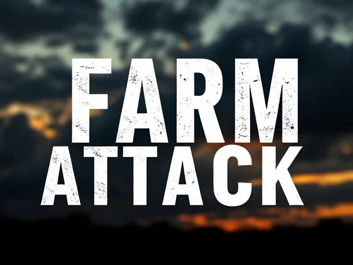 output (29) 13 Arrested in Heilbron Following Fatal Farm Attack, Sexual Assault
