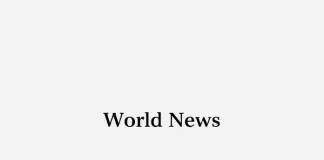 Israeli Airstrikes Target Southern Lebanon Palestinian Camp, Resulting in Multiple Fatalities Israeli Airstrikes Target Southern Lebanon Palestinian Camp, Resulting in Multiple Fatalities