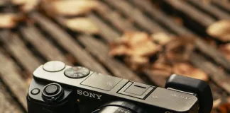 Free Software Update to Enhance Real-time Recognition AF Performance and Other Features for Sony Electronics’ Interchangeable-lens cameras Alpha 1 II and Alpha 9 III Free Software Update to Enhance Real-time Recognition AF Performance and Other Features for Sony Electronics’ Interchangeable-lens cameras Alpha 1 II and Alpha 9 III