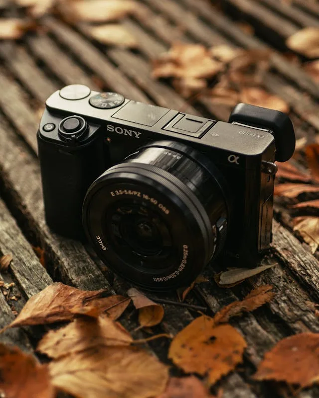 pexels-alexfu-1528851 Free Software Update to Enhance Real-time Recognition AF Performance and Other Features for Sony Electronics’ Interchangeable-lens cameras Alpha 1 II and Alpha 9 III