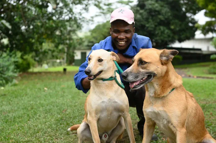 Animal Anti-Cruelty League™ Durban Calls for Compassion on International Animal Rights Day Animal Anti-Cruelty League™ Durban Calls for Compassion on International Animal Rights Day