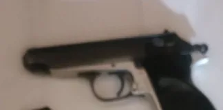 Hawks Arrest Undocumented Spaza Shop Owner for Stolen Firearm