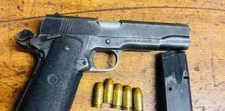 Woman Arrested for Illegal Gun Possession in Qumbu Raid Woman Arrested for Illegal Gun Possession in Qumbu Raid