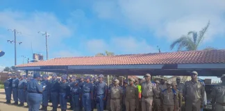 Limpopo Police Apprehend Over 1,000 Suspects in Week-Long High-Density Operation