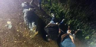 Four Arrested in Delmas Gold Bust and Bribery Attempt Four Arrested in Delmas Gold Bust and Bribery Attempt