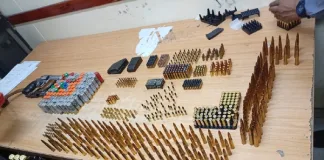 Man Arrested with Five Illegal Firearms and 953 Rounds of Ammunition Man Arrested with Five Illegal Firearms and 953 Rounds of Ammunition