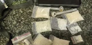 Drug Bust in Nets Suspect with Crystal Meth