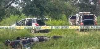 Eight Arrested in Mpumalanga Raid, Weapons and Stolen Vehicles Seized Eight Arrested in Mpumalanga Raid, Weapons and Stolen Vehicles Seized