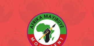 New Political Party Positions Itself as ANC’s Successor Amid Rocky Start New Political Party Positions Itself as ANC's Successor Amid Rocky Start