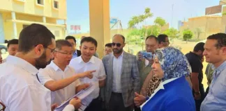 China Southern Power Grid's First Overseas Distribution Network Loss Reduction Pilot Project—the South Cairo, Egypt Project—has Successfully Passed Acceptance