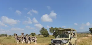 Here’s Why The Bothongo Rhino & Lion Nature Reserve Is Your Ultimate Summer-Holiday Escape