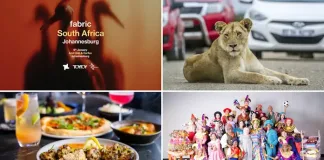 The Most Exciting Things to Do in Gauteng This Holiday Season The Most Exciting Things to Do in Gauteng This Holiday Season