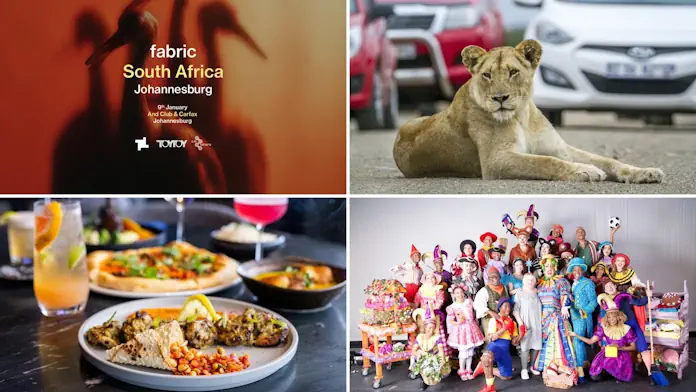 The Most Exciting Things to Do in Gauteng This Holiday Season The Most Exciting Things to Do in Gauteng This Holiday Season