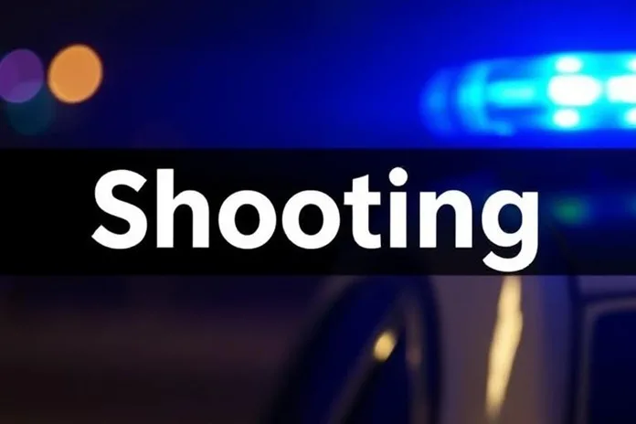 Shooting-incident-2 Horrific Tavern Massacre Leaves Nine Dead in Bekkersdal, Community in Fear