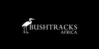 Bushtracks Africa