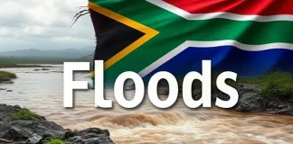 Search and Rescue Mission Underway at Flooded Hennops River as Tshwane Reels from Storms Search and Rescue Mission Underway at Flooded Hennops River as Tshwane Reels from Storms