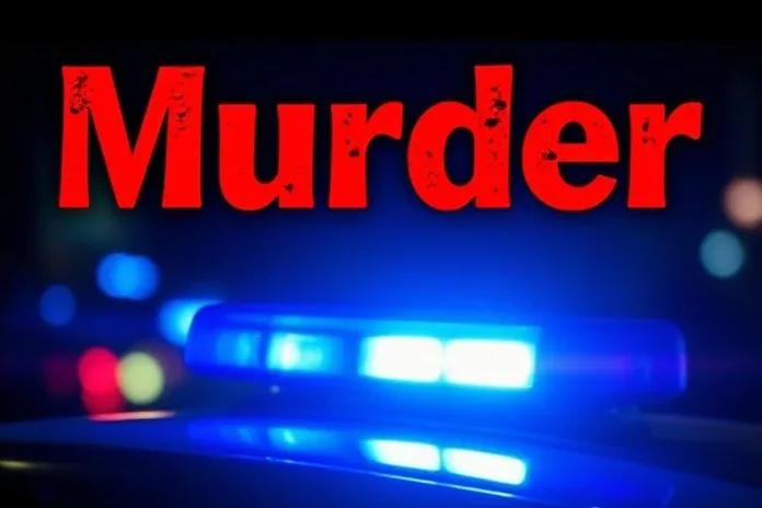 murder Witness in Ekurhuleni Metro Police Corruption Inquiry Gunned Down Outside Brakpan Home