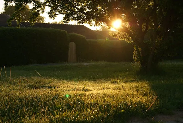 pexels-andersbk-13975 Simple Projects That Make Your Lawn Look Better All Year. image source: Pexels