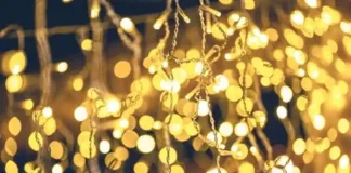 Switching on Christmas [lights] at Windmill