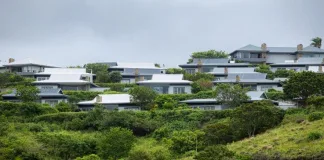 5 Emerging Trends Set to Reshape South Africa’s Property Market in 2026