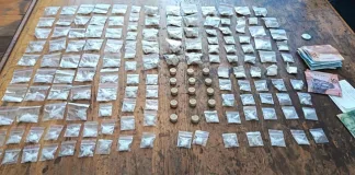 Bloemfontein K9 Unit Arrests Three, Seizes R62,000 in Drugs Bloemfontein K9 Unit Arrests Three, Seizes R62,000 in Drugs