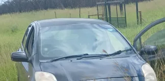 Police Arrest Suspect After Robbery and Shootout