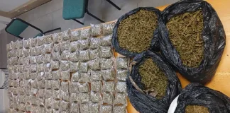 Upington Border Police Arrest Man, Seize Dagga Worth Over R111,000